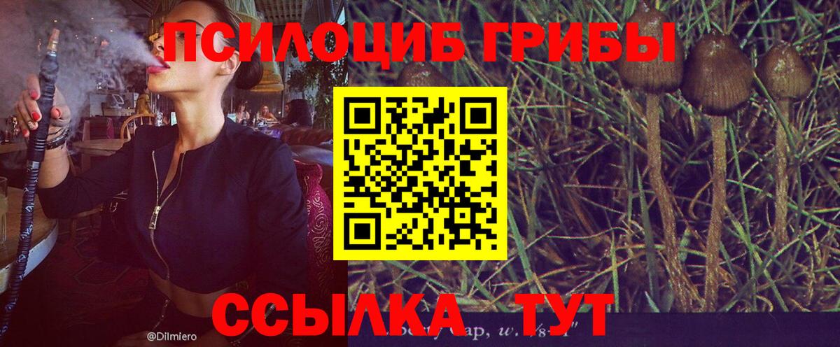 Псилоцибиновые грибы мицелий Анапа