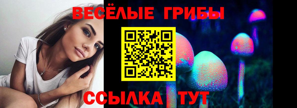 Галлюциногенные грибы MAGIC MUSHROOMS  где купить наркотик  Псилоцибиновые грибы мухоморы  Анапа  Вход с VPN 